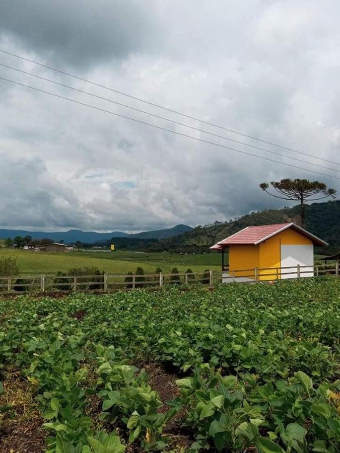 Cabana Caminho Das Borboletas Bom Retiro  Exterior foto